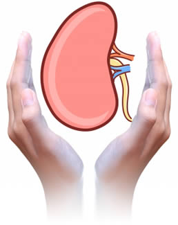 The prevention of nephrosis